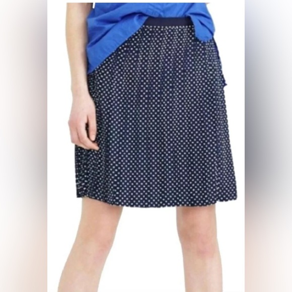 J.CREW Navy Blue & White With Polka Dots Pleated Lined Skirt Size 4 - Picture 1 of 6